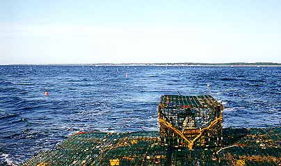 Picture of lots of gear in the water