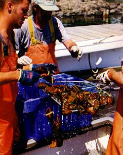 Cleaning the boat